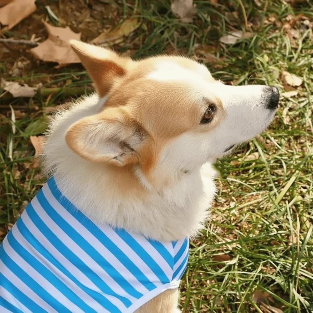 Round Neck Dog Cooling Vest Soft Fabric Pet Striped T-Shirt Dog Summer Clothes  Spring Summer