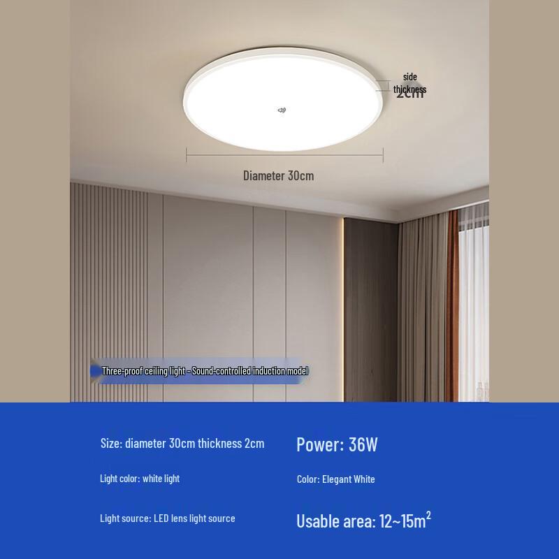 Hojia LED Smart Motion Sensor Ceiling Light