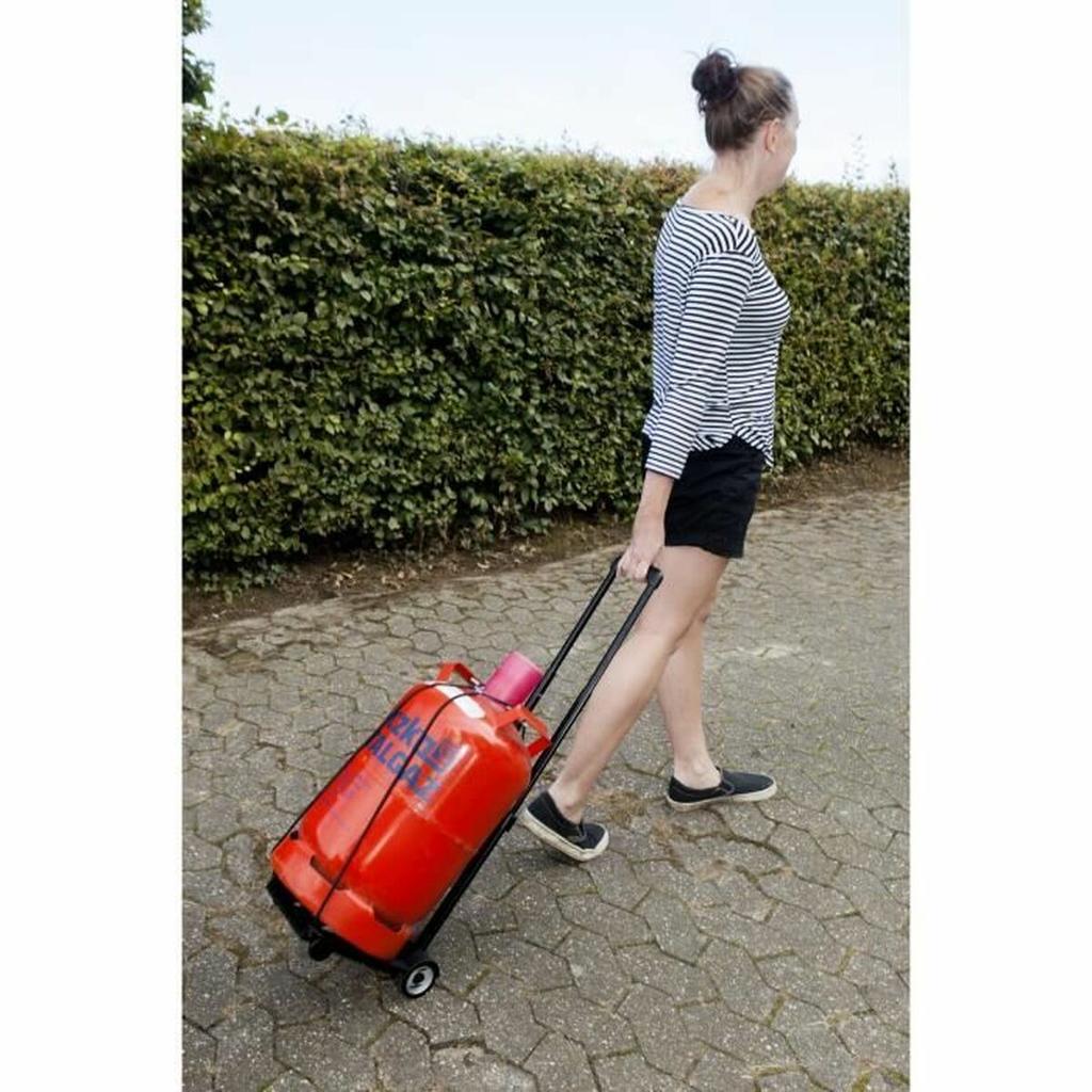 Wheelbarrow Meister DIABLO PL 8985730 Black