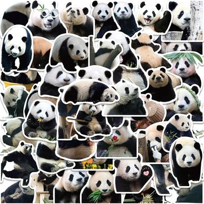50 UNIDADES Animales de Dibujos Animados Panda Lindo Pegatinas de Graffiti DIY Teléfono Guitarra Portátil Portátil Maleta Taza Pegatina Impermeable Juguete para Niños