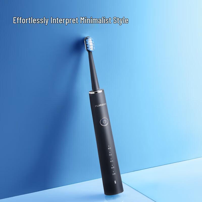 

Flyco Sonic Electric Toothbrush for Adults