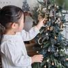 Hanamei Christmas Letter MERRY CHRISTMAS Nordic Wooden Natural Tree Made in Japan Ornaments, Alphabet, Ornaments, Ornaments, Decorations, (MERRY