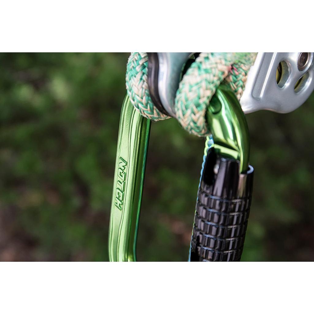 Notch Absolute Oval Aluminum Carabiner (54441)