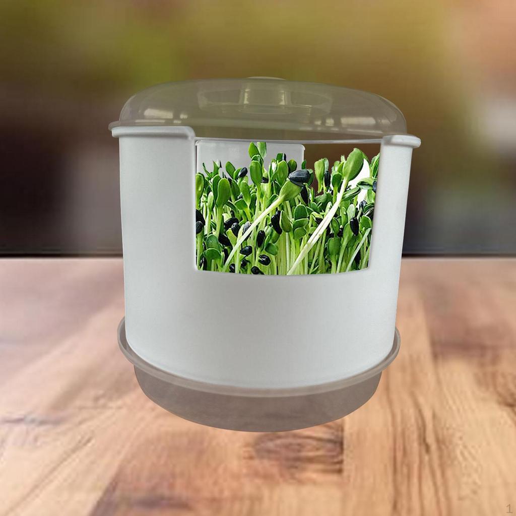 Germination Tray Grower Container Peanut Box for