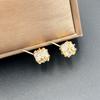 Fashion Light Luxury Gold Zircon Stud Earrings High-End Earrings Simple Versatile Earrings Exquisite Earrings