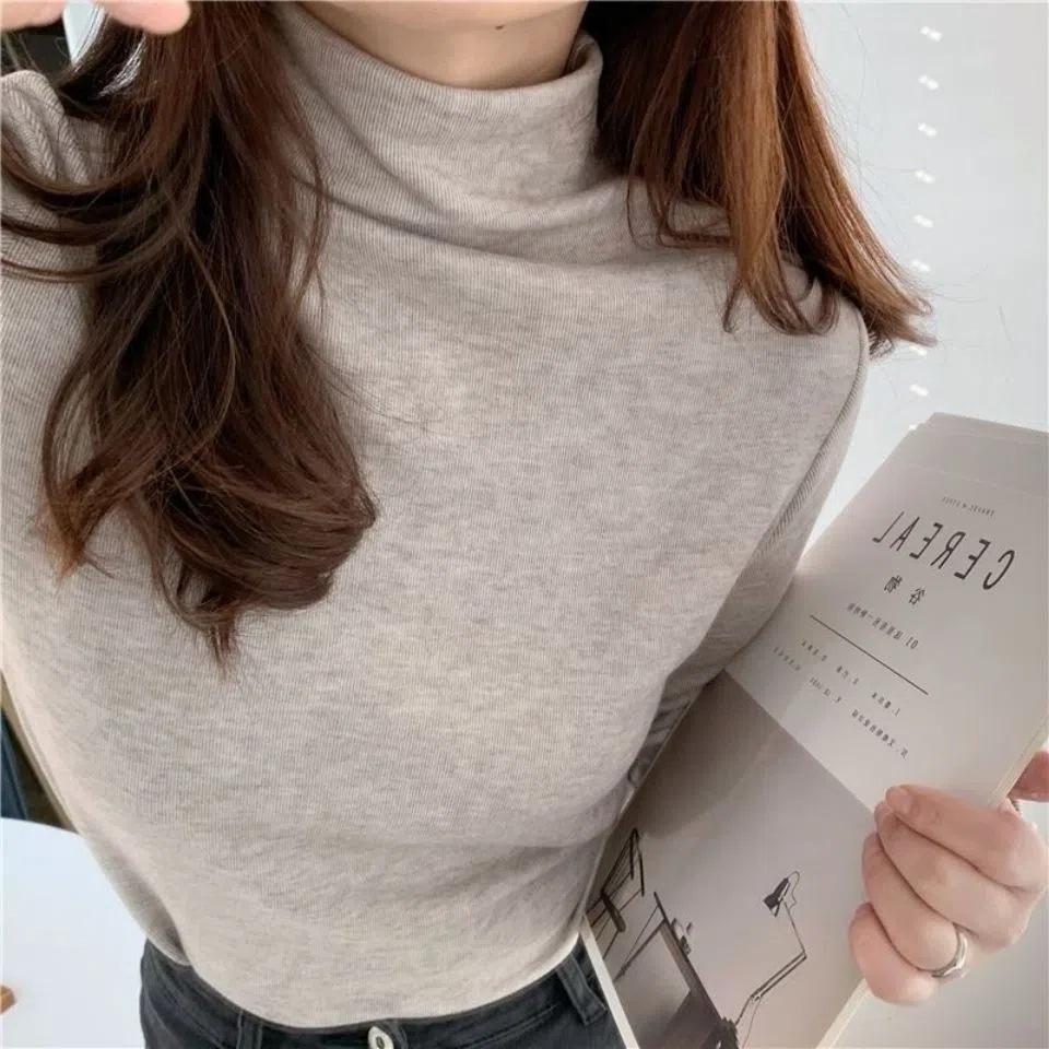 Women's Elegant High Neck Long Sleeve Winter Top