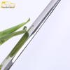 CT5 Stainless Steel Hood Trim: Bright Surface Accessories Compatible with 20 Models