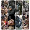 Monkey Memes Phone Case For Samsung Galaxy A52 A51 A50S A32 A22 A12 A02S A72 A71 A31 A70 A30S Note 20 Ultra 10 Plus S10 Galaxy A