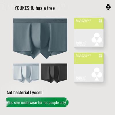 Youkeshu Men's Plus Size Antibacterial Boxer Briefs