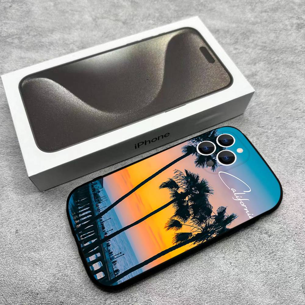 Travel Los Angeles California Phone Case For iPhone 17,16,15,14,13,12,Pro,Max,Plus,E,SE4,Air,Mini Black Soft Box