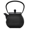 Nanbu Tekki Kyusu Ichido Teapot Sekitei 0.7L Black