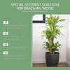 Nutrient Solution For Plants Green Plant Fertilizer Nutrient Solution For Green Leaf Pot Brazilian Wood Fertilizer
