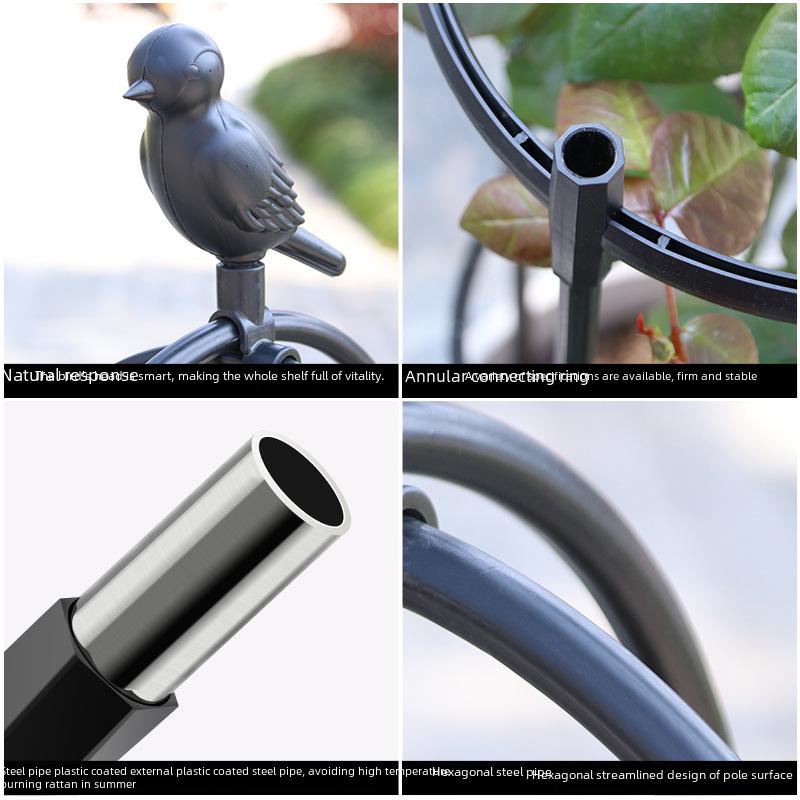 Black European Garden Plant Climbing Rack