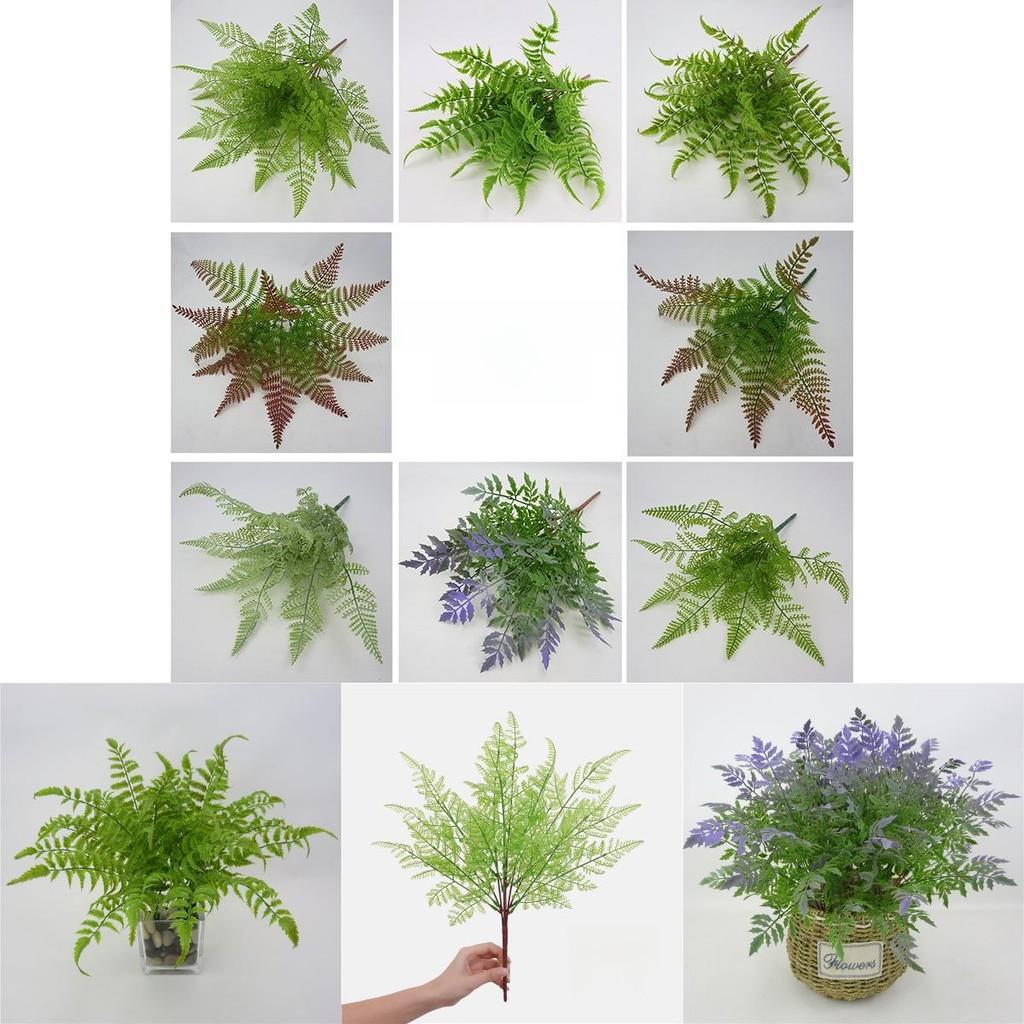 Faux Pteridium Aquilinum Var Latiusculum Plant Decor Set With Realistic Leaf Textures For Garden Photography And Home Decor