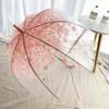 Transparent Umbrella Princess Style Children's Mushroom Birdcage Style Arched Umbrella Kindergarten Anti-Pinch Mini Umbrella for Girls Primary School