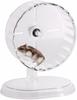 MUYYIKA Silent Hamster Wheel, Quiet Type for Gerbils, Mice, and Other Small Animals, Cage Accessory, Stress Relief, and Exercise Relief (Transparent)