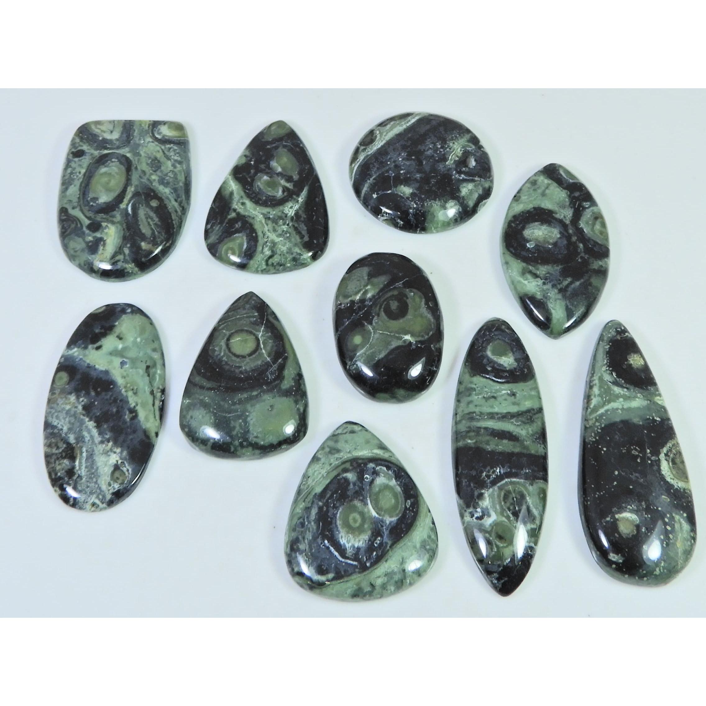 Natural Star Galaxy Kambaba Jasper Mix Cabachon Loose Gemstone 10 Pcs Lot C-2624