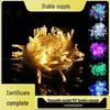 Low-Voltage Dark Green Wire Twinkling Star Fairy Lights - Outdoor Christmas LED String Lights for Courtyard Decoration.