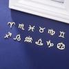 12pcs/lot Stainless Steel Zodiac Charms Horoscope Astrological Sign DIY Pendant for Necklace Bracelet Jewelry Making
