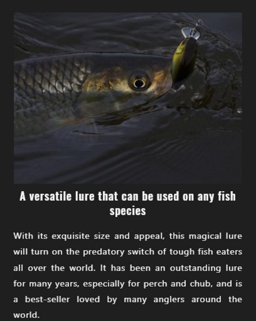 Jackall Chubby Magnum 50F Floating Lure RT Custard Bug (1913)