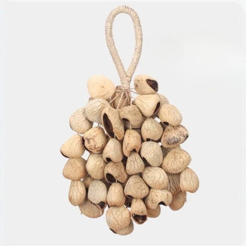 Nut Shell Hand Bells Meditation Diapason Hand Bell Mindfulness Yoga Relaxation Wind Chime Sound Healing Musical Instruments Bell