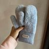 Winter Warmth Gloves For Women With Plush Lining For Commuting And Outdoor Activities