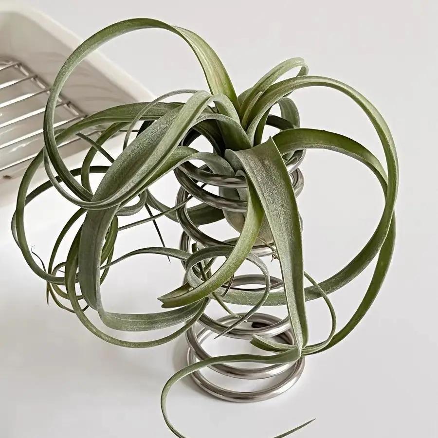 1pcsSpring Stainless Steel Cylindrical Toothbrush Stand Toothpaste Holder Shelves Storage Organizer Kitchen Bathroom Accessories