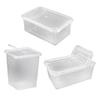 Reptile Feeding Box Turtle Transport Container Mini for Frog Scorpion Gecko