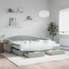 VidaXL Daybed with Trundle and Drawers Light Grey 90x190cm Velvet 3197386