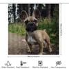 Adorable French Bulldog Shower Curtain High-Quality Fabric Print For Bathrooms Perfect Gift Idea
