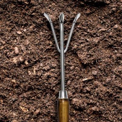 Darkwood Hook for Gardening, Include Weeding the Flower Bed