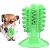 Pet Supplies Factory Wholesale Company New Explosions Cactus Toothbrush Grinding Stick Dog Toy Ball