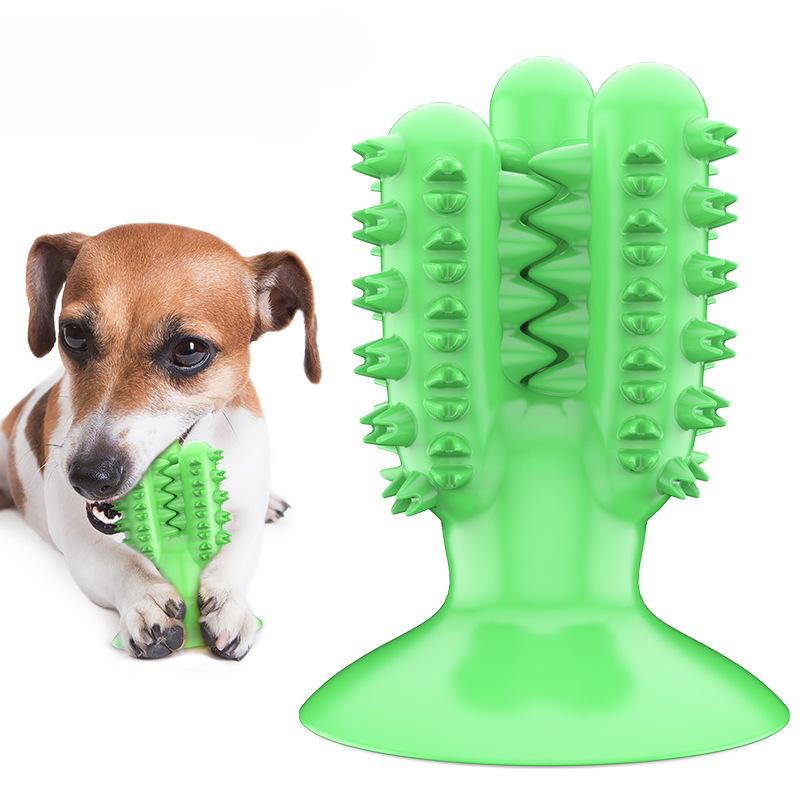 Pet Supplies Factory Wholesale Company New Explosions Cactus Toothbrush Grinding Stick Dog Toy Ball