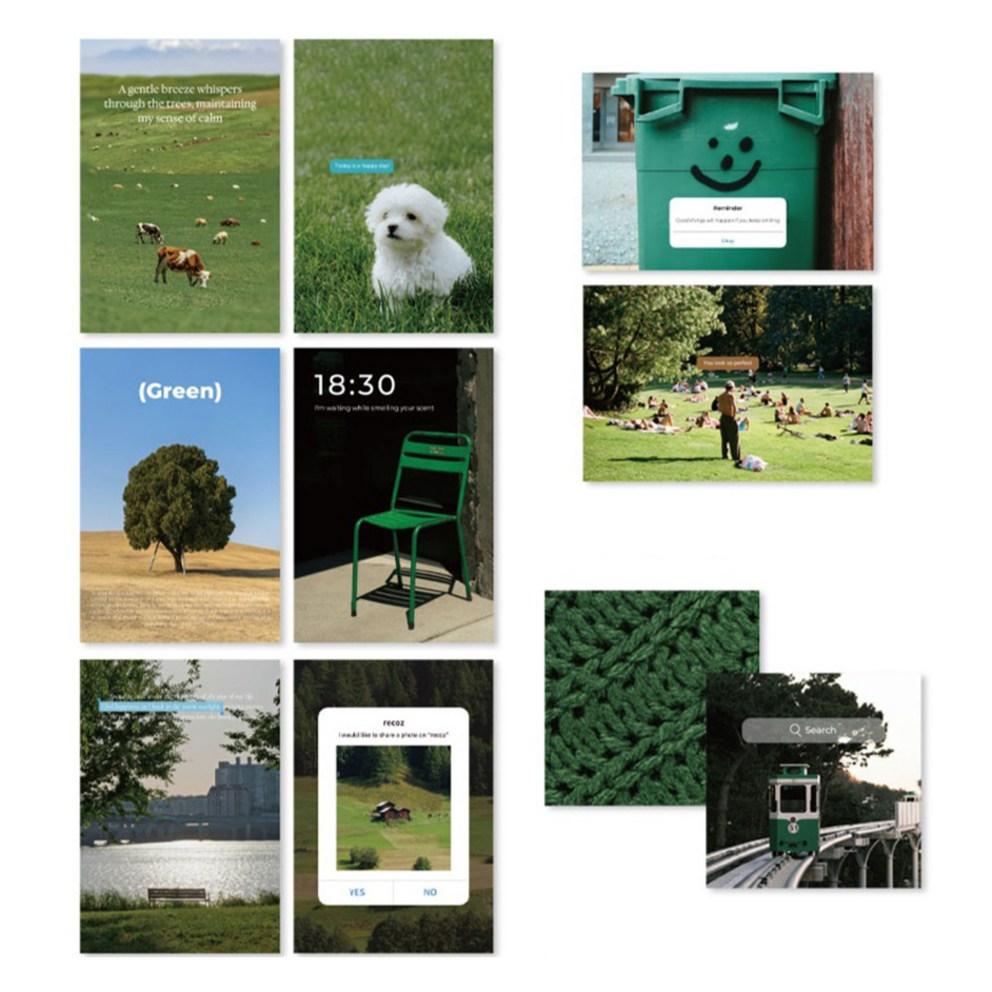 

Набор фото-открыток Rico s Object Deco, Натуральный зеленый, 1 набор