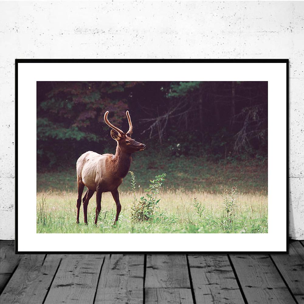 Nordic Landscape Boat Art Nature Forest Deer Animal Print Canvas Mural Poster and Edition Lake View Home Decor