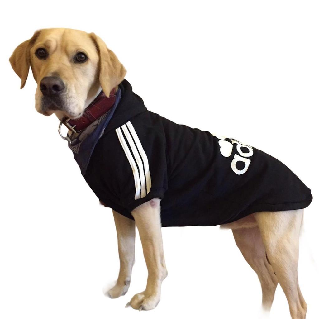 Buy Black Hoodie, Sweatshirt for Medium and Large Breeds, Dog Dress