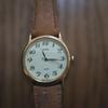 Used ALBA Quartz Men's Watch Gold Brown AIGN001