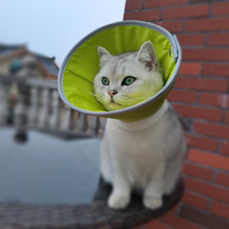 Soft Foldable Pet Recovery Collar Adjustable Anti-Lick Elizabethan Cone for Cats Dogs