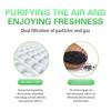 Air Cabin Filter For BYD Tang EV 2025 II DM EV600 2024 2023 2022 2021 2020 2019 2018 Accessories Cleaning Air Conditioner Parts