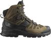 Hiking Shoes Salomon Quest 4 GTX