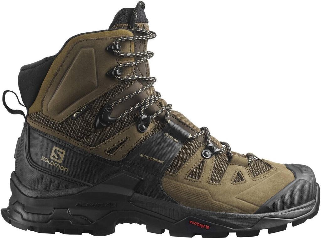 Hiking Shoes Salomon Quest 4 GTX