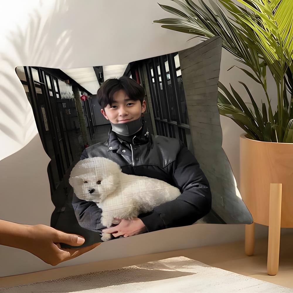 

Pop star Ppark SseojunS Pillow Case Home Living Room Decoration Linen Pillow Cases Cushion Cover 30X30cm