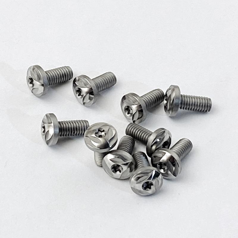 1 Set Stainless Steel T8 Torx Head Screw Home DIY Knife Handle Screws Accessories for CZ 75 Grips S SP-01