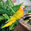 Bird Ornament Resin Scarlet Macaw Sculpture Realistic Lifelike Parrot Statue Waterproof Outdoor Garden Decoration