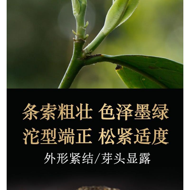 Shen Pu-erhChaPu'er Tee Dali Tuocha * Xiaguan Tuo Cha Puer Tee 100g Box