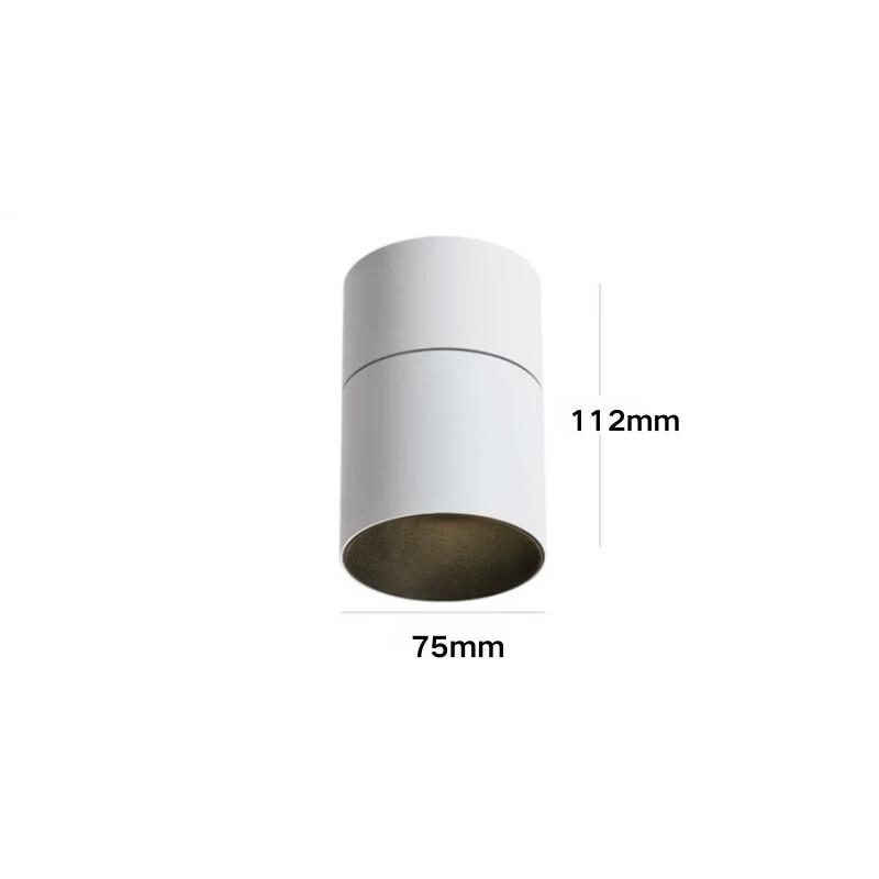 

Oeny Adjustable Angle Downlight