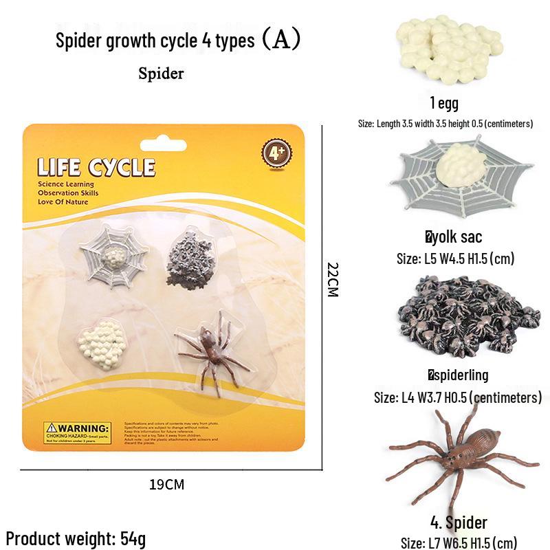 Cross-border Simulation Animal Suction Toy: Butterfly, Rooster, Ant, Frog, Sea Turtle, Mosquito Growth Cycle Models