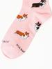 Beams Boy Socks [Special Order] FOR BARE FEET Jacquard Socks 2025SS Women's Corgi Free
