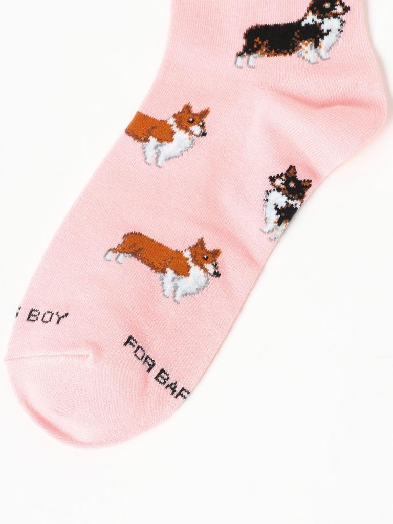 Beams Boy Socks [Special Order] FOR BARE FEET Jacquard Socks 2025SS Women's Corgi Free