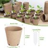 Seedling Pots 45Pcs Peat Pots for Seedling Outdoor Garden Germination Nursery Pots Pulp Biodegradable Seed Starter Pots Kits
